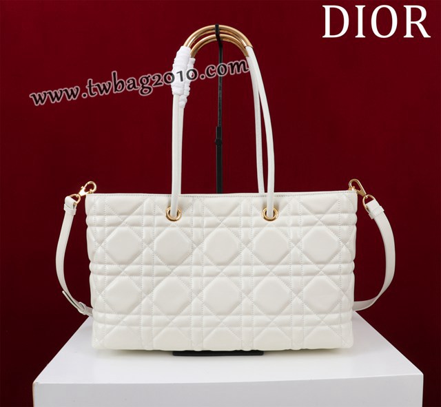 Dior专柜2023新款迪奥高仿原单Dior Toujours手袋手提购物包 djfk1600